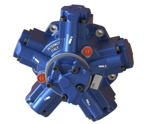 Intermot Hydraulic Motor Repair in India